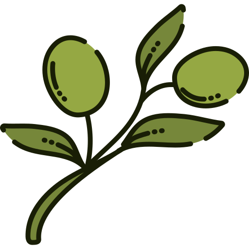 olive image